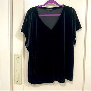 Sanctuary Velvet short sleeve top, 2x